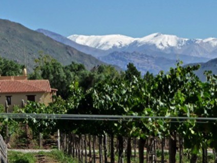 Colome Winery in Argentina